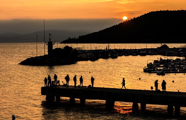 Narlı Fotoğrafları
