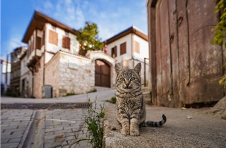 Umurbey Fotoğrafları
