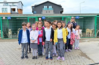 Gemlik Belediyesi’nden Hayvan Rehabilitasyonunda Bir İlk: “Önce Eğit, Sonra Sahiplendir”