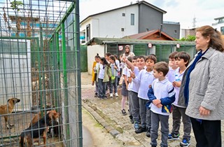 Gemlik Belediyesi’nden Hayvan Rehabilitasyonunda Bir İlk: “Önce Eğit, Sonra Sahiplendir”