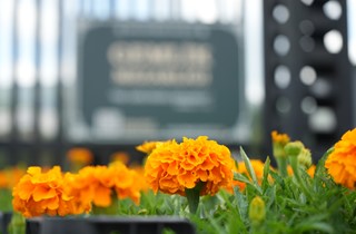 Mezarlıklarda çiçekler Gemlik Belediyesi’nden