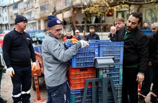 Gemlik Belediyesi ile GemTar’dan Üreticiye Destek Zeytin Alımları Sürüyor 