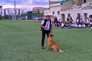 Gemlik Belediyesi’nden Hayvan Rehabilitasyonunda Bir İlk: “Önce Eğit, Sonra Sahiplendir”