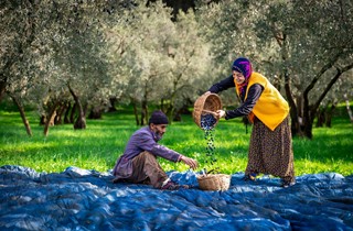Gemlik’in Güzellikleri 4. Fotoğraf Maratonu’nda Objektiflere Yansıdı