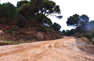 Gemlik'te arazi yolları açılıyor