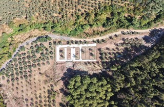 Patili Canlar Merkezi'nde Çalışmalar Başladı