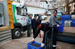 Gemlik Belediyesi ile GemTar’dan Üreticiye Destek Zeytin Alımları Sürüyor 