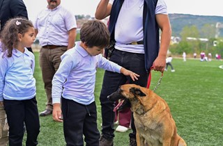 Gemlik Belediyesi’nden Hayvan Rehabilitasyonunda Bir İlk: “Önce Eğit, Sonra Sahiplendir”