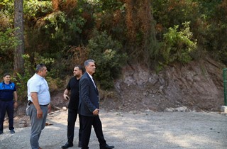 Patili Canlar Merkezi'nde Çalışmalar Başladı