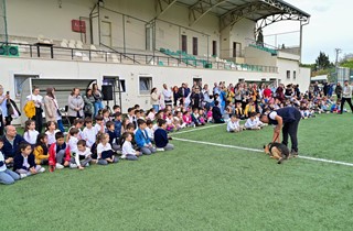 Gemlik Belediyesi’nden Hayvan Rehabilitasyonunda Bir İlk: “Önce Eğit, Sonra Sahiplendir”