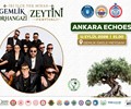 Ankara Echoes Konseri