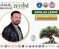 Apolas Lermi Konseri