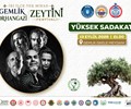 Yüksek Sadakat Konseri